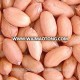 new crop top quality peanut kernel 38/42